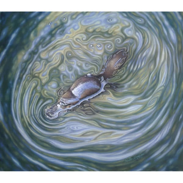 renata bruynzeel Platypus 2 Print 600x600 1