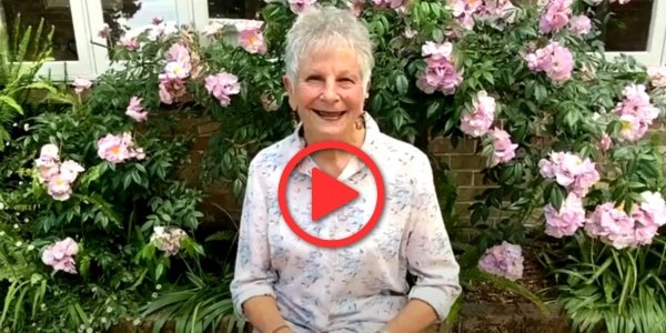 Petrea Video Artwork Xmas Appeal Newsletter NOV 2024